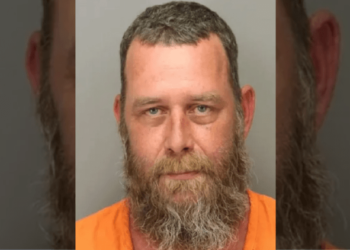 Florida man accused of poisoning ‘hated’ nephew’s sandwich with eyedrop solution – Law Officer